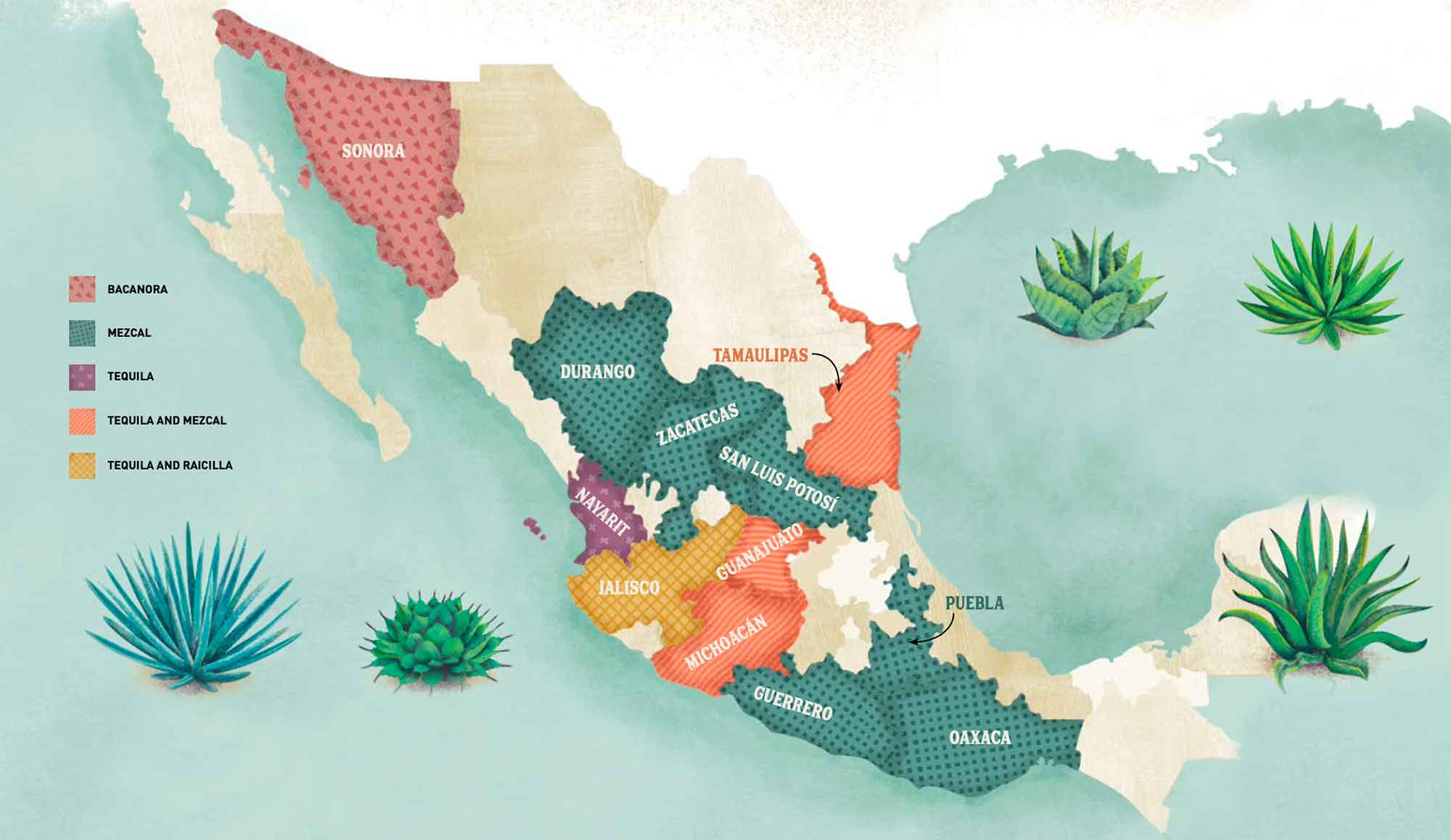 agave spirits