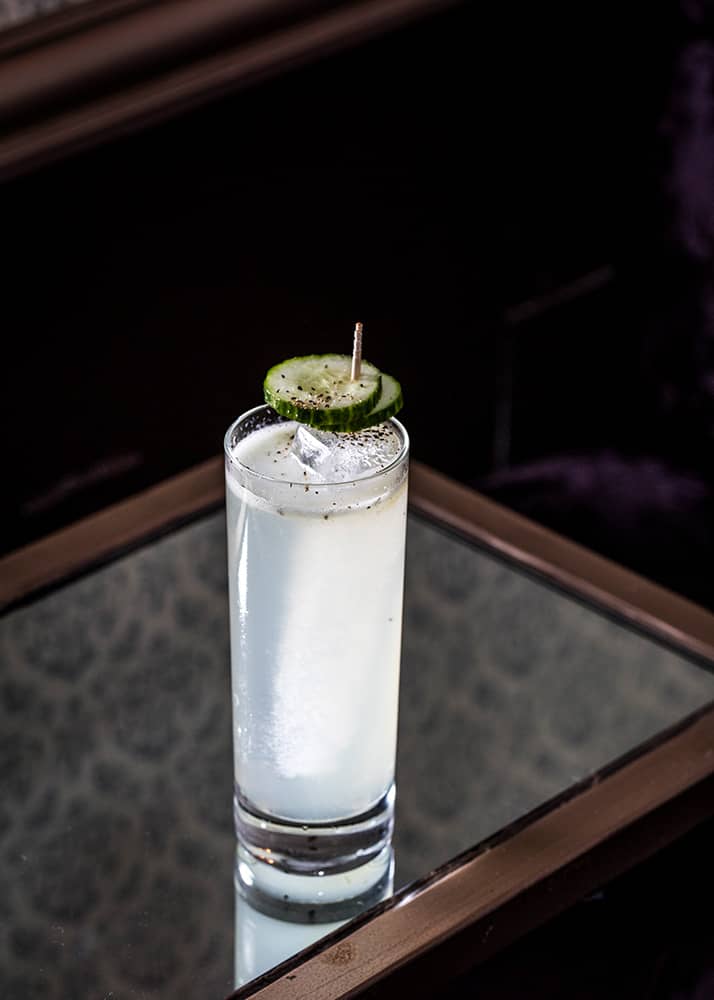 Fresh Post Gin Highball