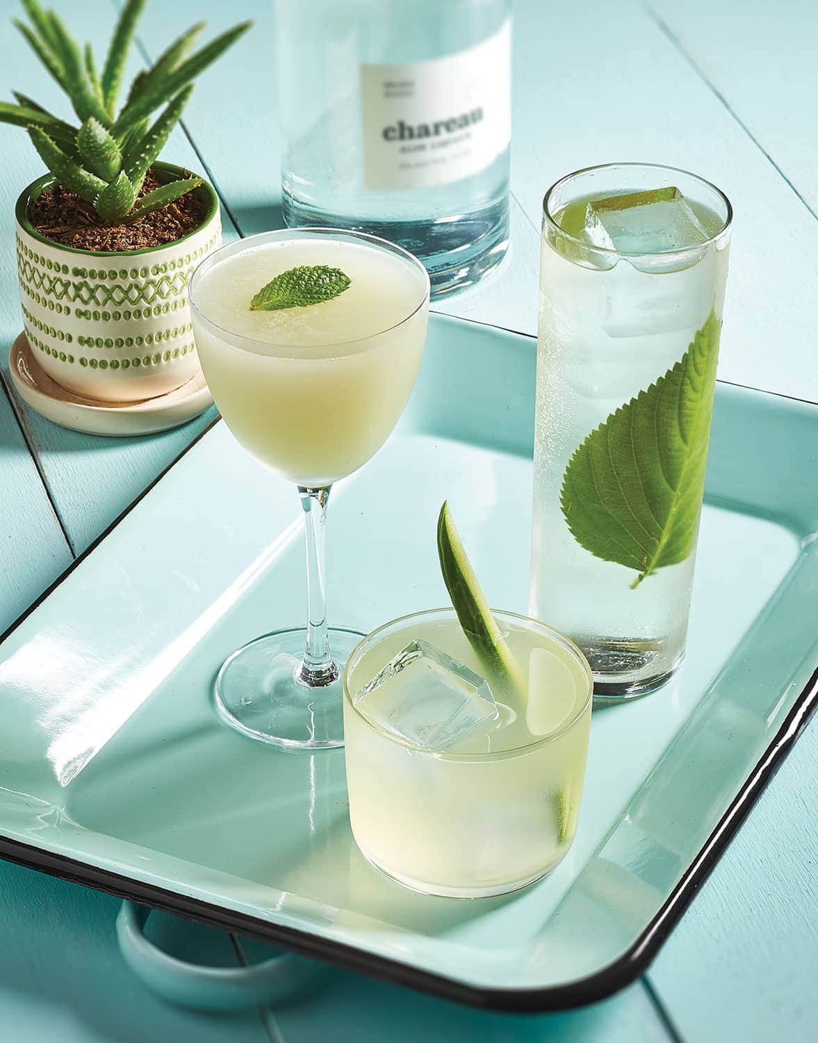 Chareau aloe liqueur