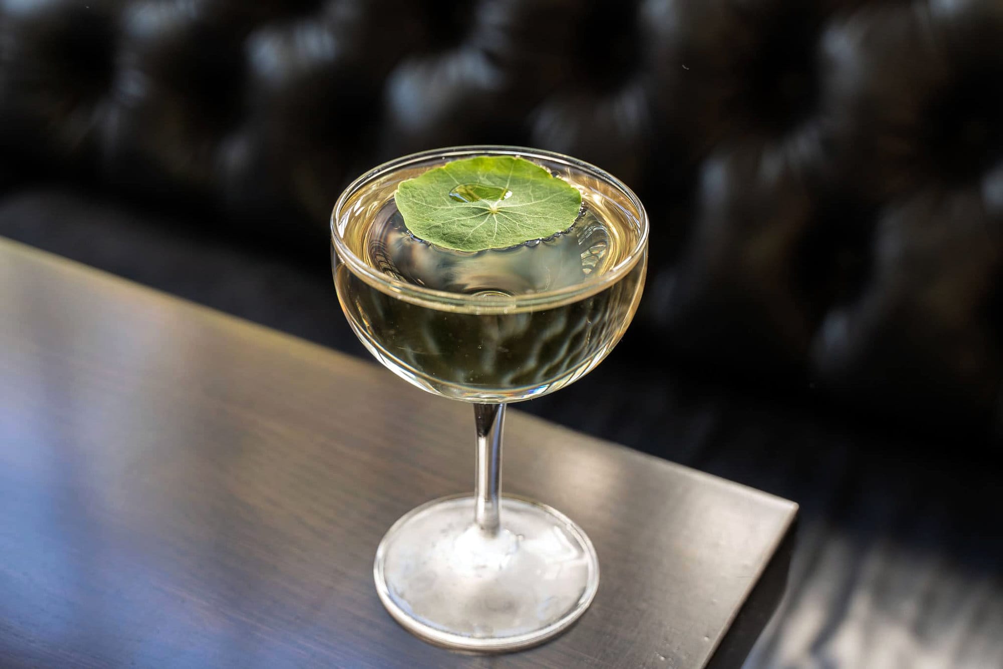 where to drink in Monterey Stokes Adobe Crocodile Tail