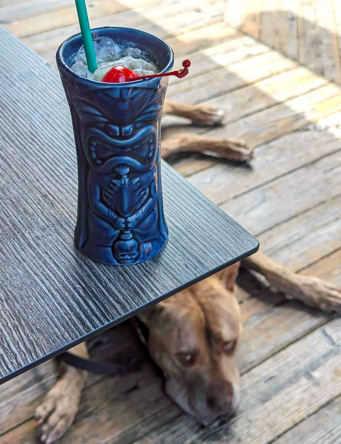 where to drink in Monterey hula's tiki dog patio