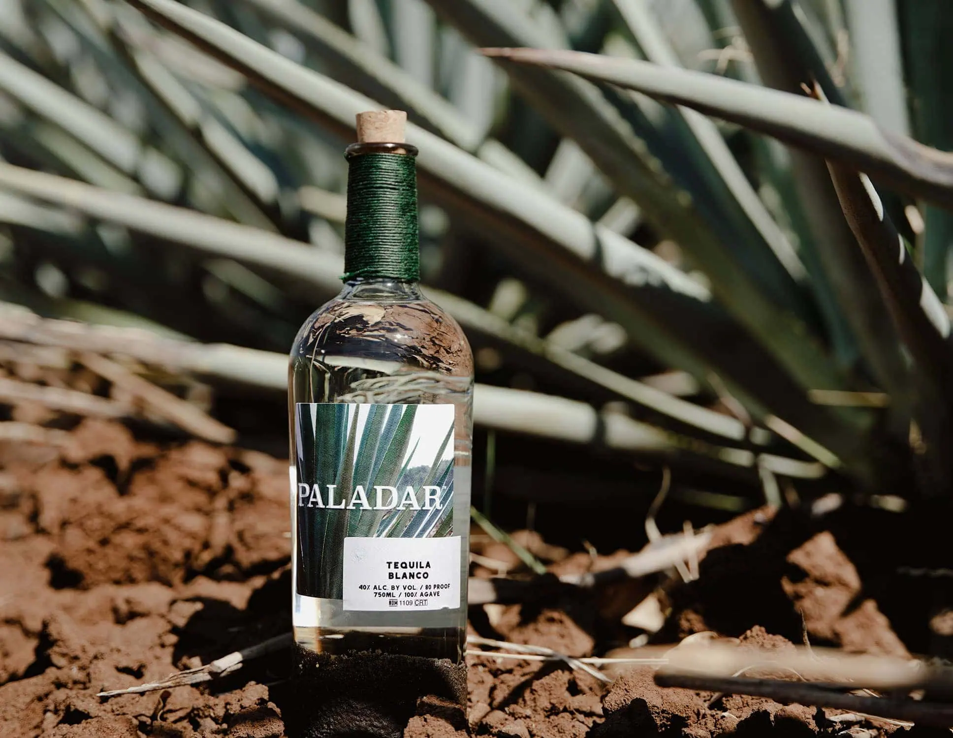 Paladar tequila blanco