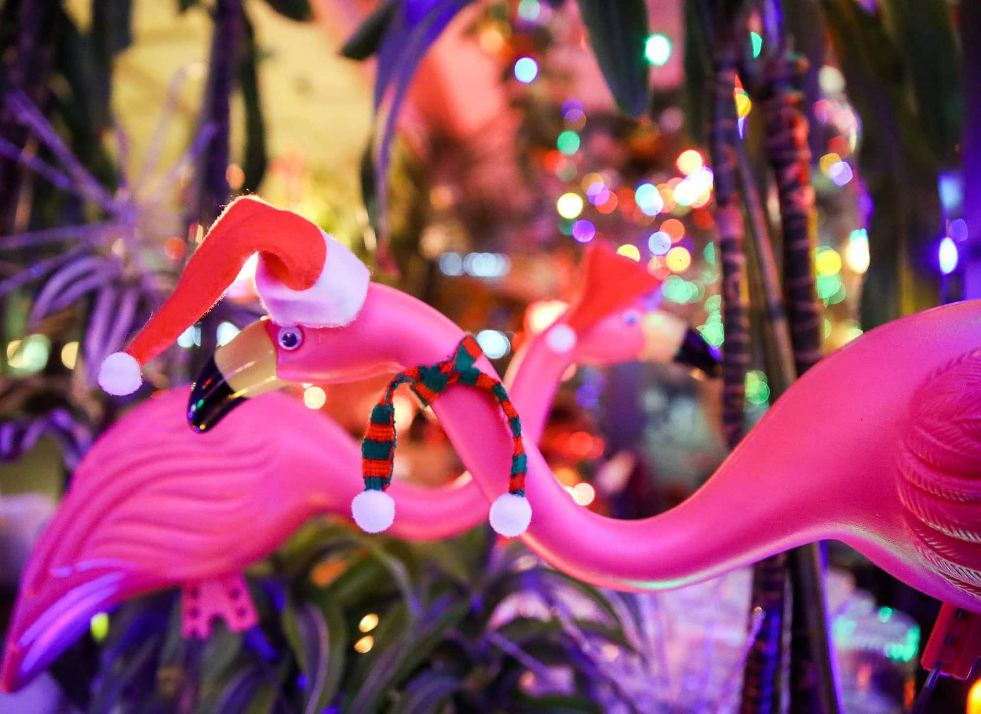 tropical holiday party