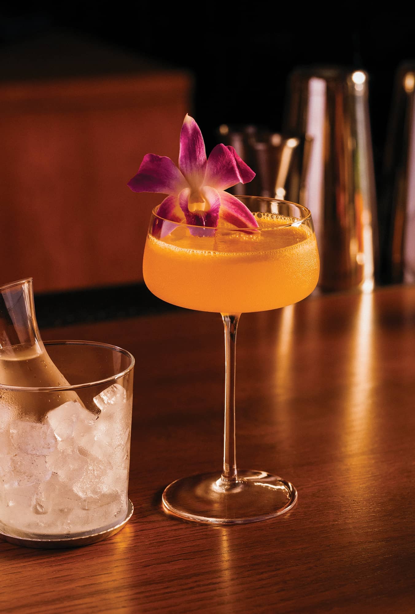 The Benjamin Hollywood Pornstar Martini