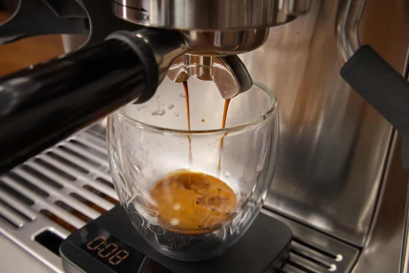 Sage Barista Express Bezug