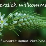 Der B236 im „neuen Look“!