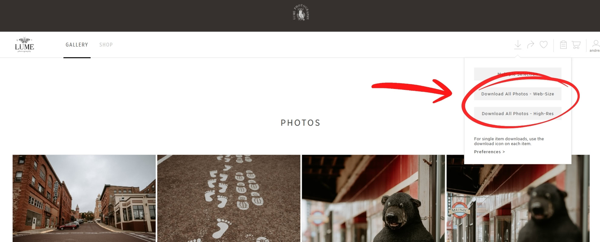 How To Care For Your Digital Photos | Lume Photography