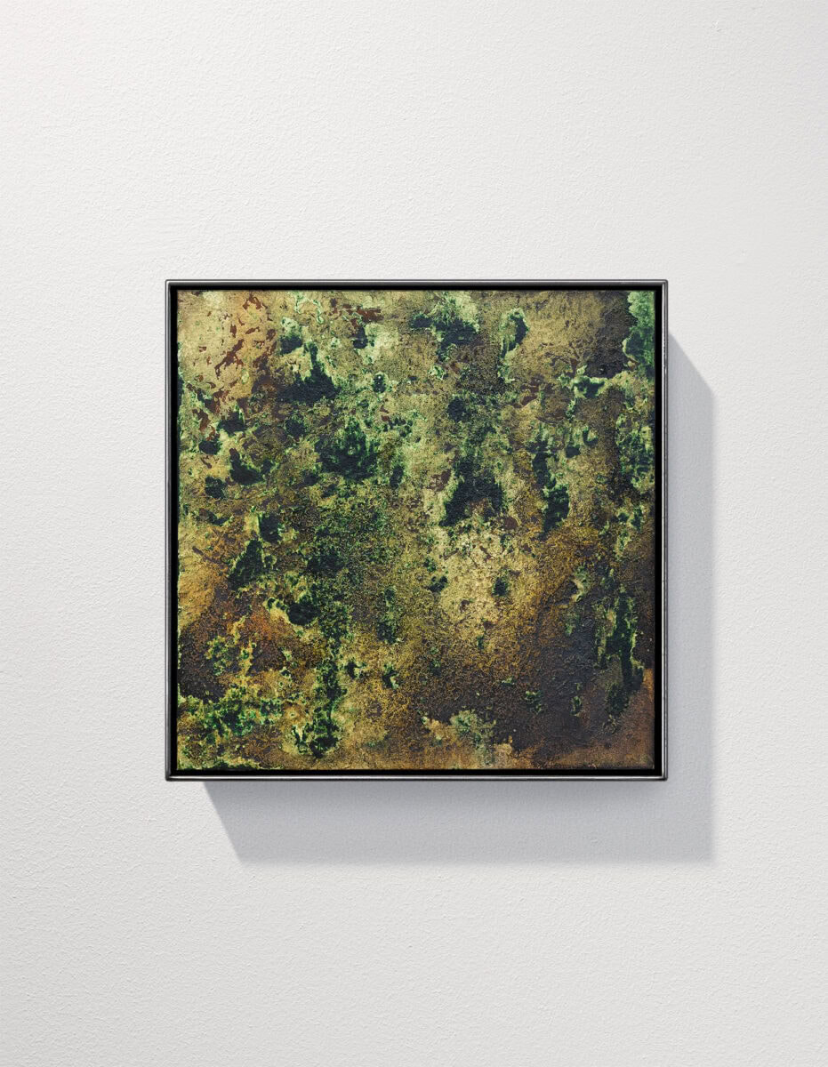 30x30 2025 Moss Mini