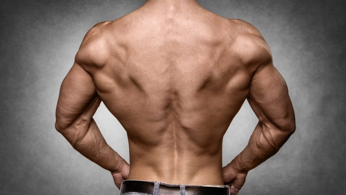 sore muscle top back of leg