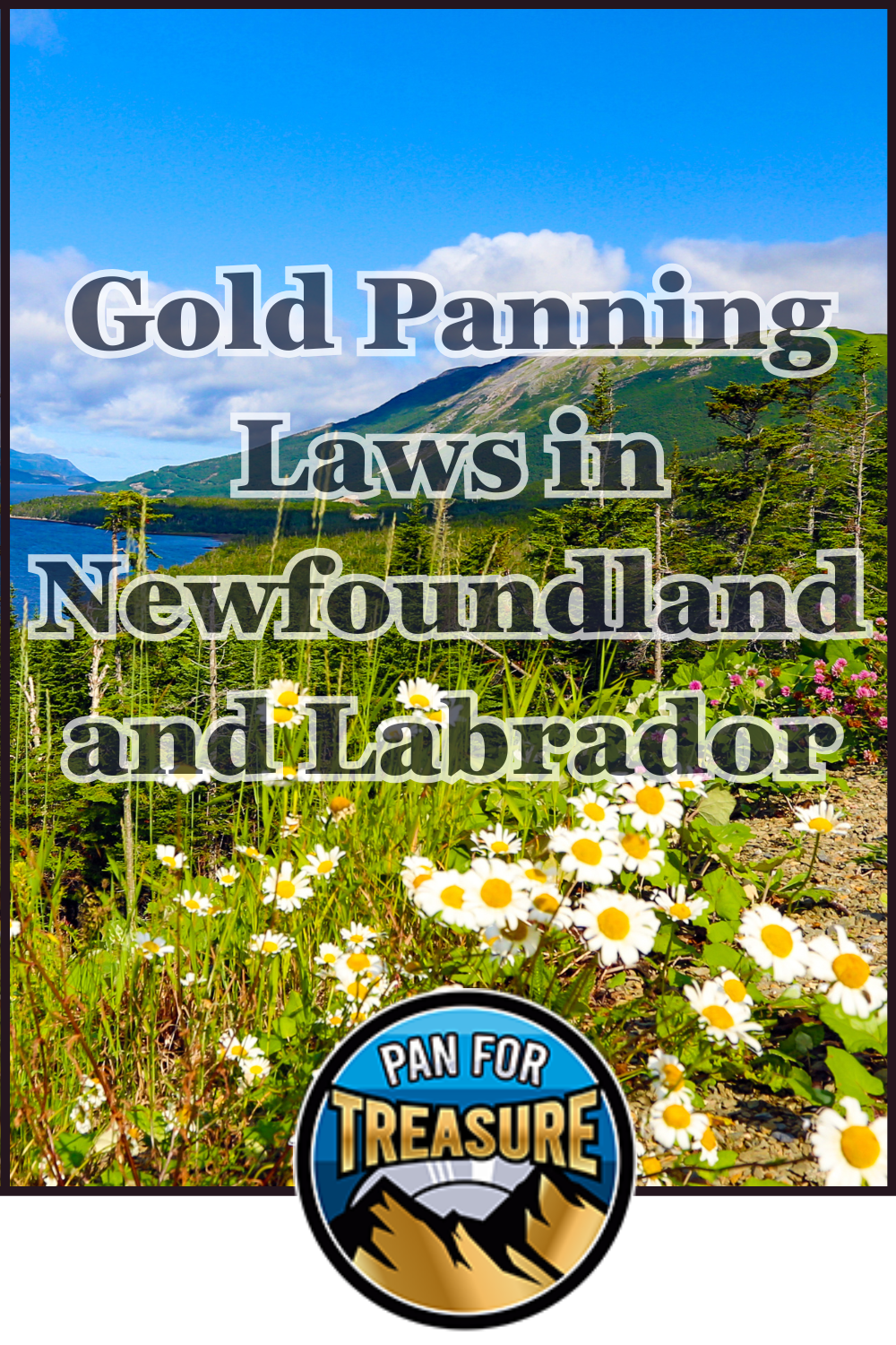 A scenic landscape with mountains, blue sky, and wildflowers illustrates Gold Panning Laws in Newfoundland and Labrador, with the title text and a "Pan for Treasure" logo at the bottom.