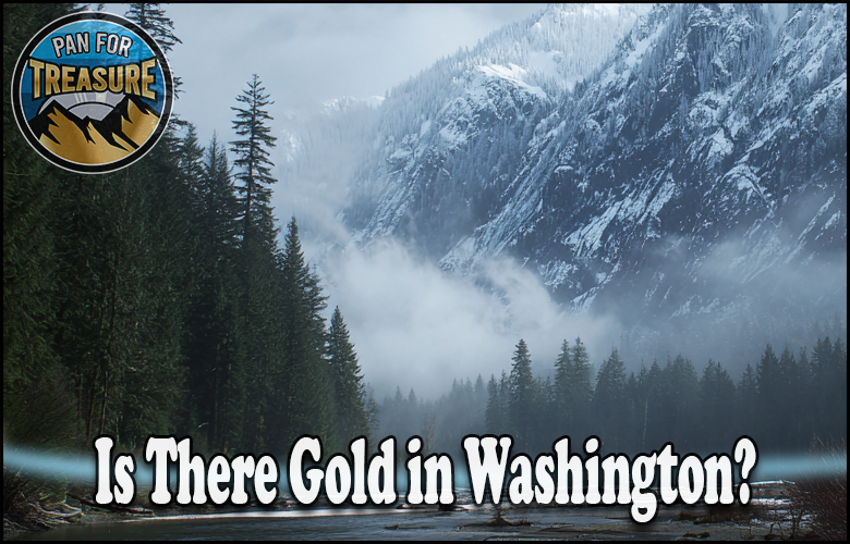 Read more about the article Is There Gold in Washington? Top Locations and if It’s Worth the Trip