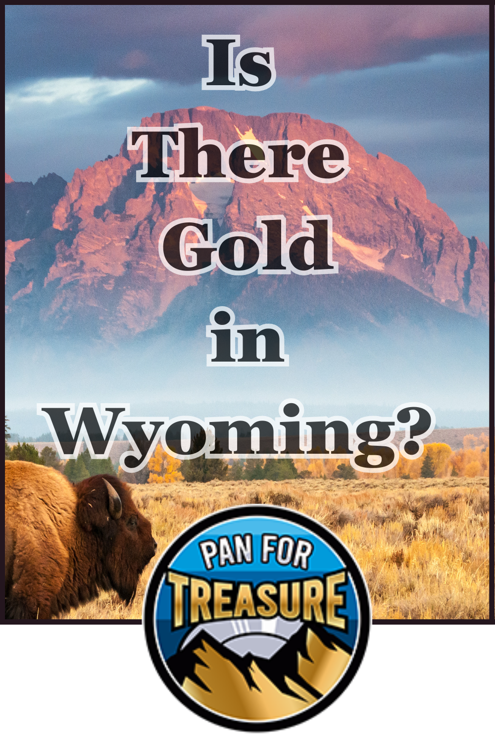 A bison stands in a field with a mountain in the background. Text across the image asks, “Is there gold in Wyoming?” and a “Pan for Treasure” logo appears at the bottom.