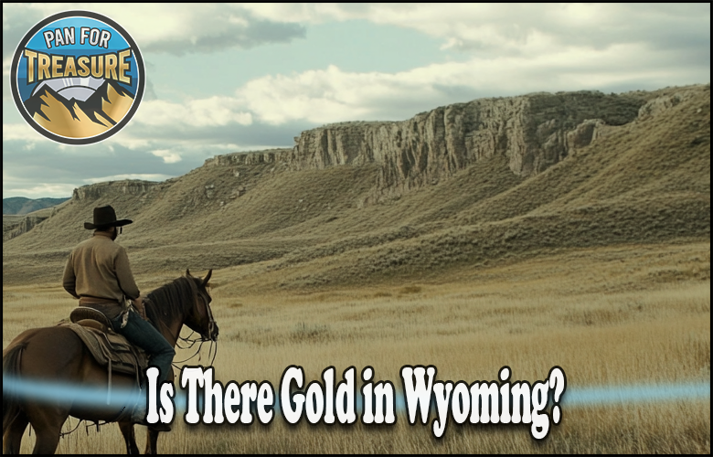 A person on horseback surveys a grassy plain with rocky cliffs in the distance. The text asks, “Is there gold in Wyoming?” alongside a bold “Pan for Treasure” logo.