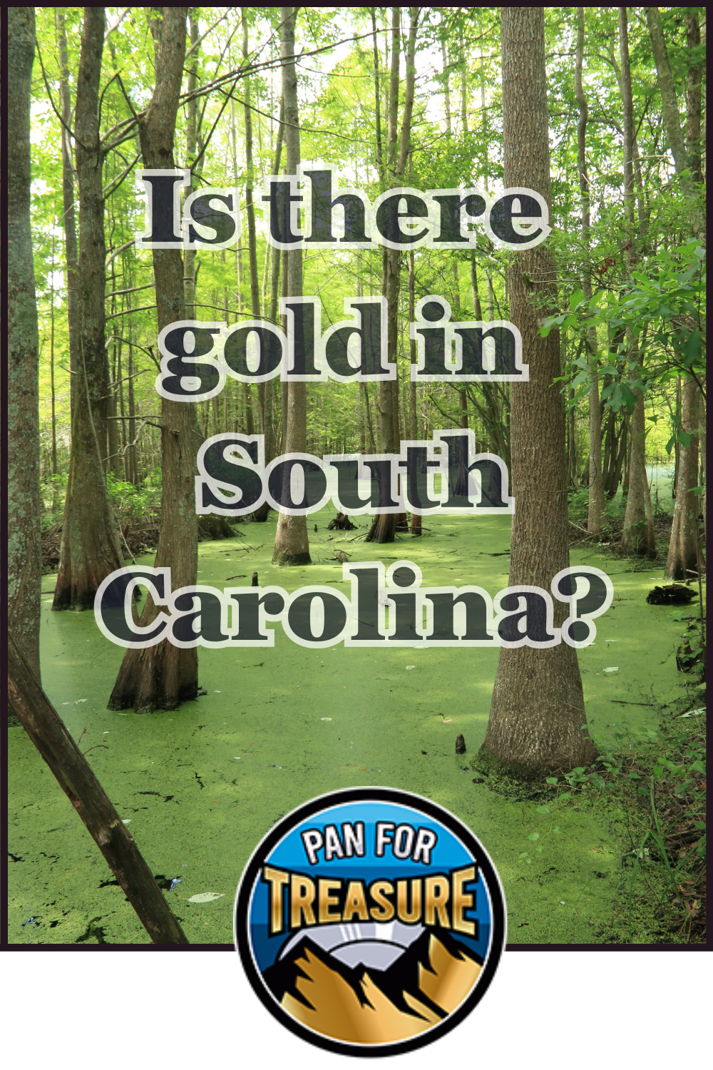 A wooded swamp with green water features the question "Is there gold in South Carolina?" overlaid, inviting adventurers to ponder hidden riches. The "Pan for Treasure" logo sits boldly at the bottom.