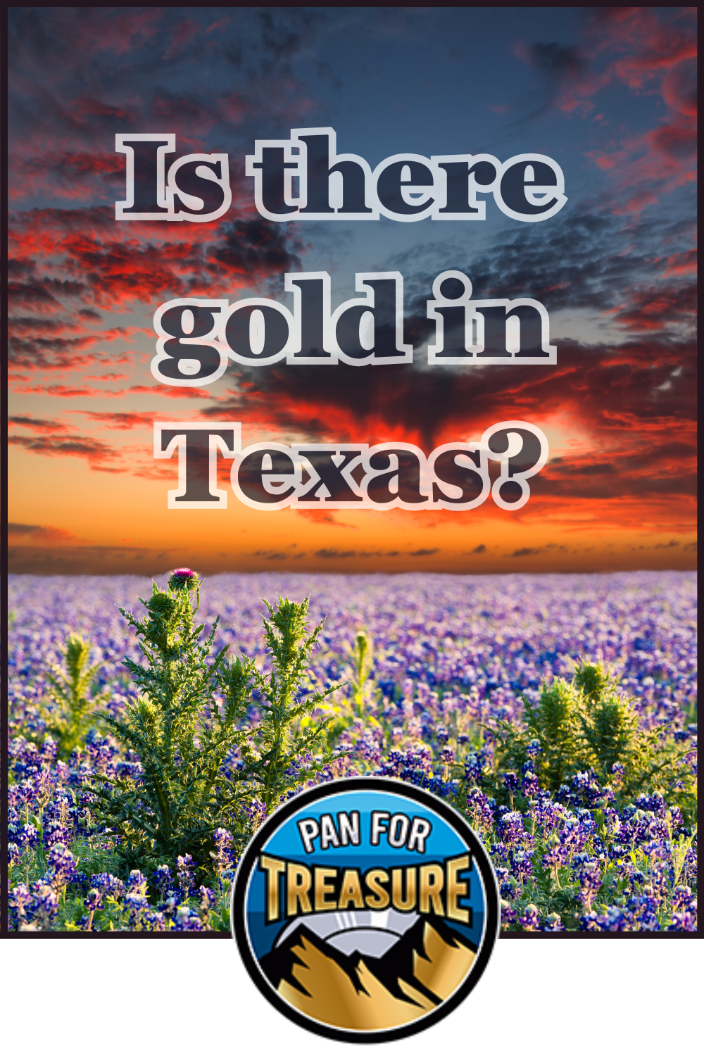 A field of bluebonnets under a colorful sunset sky features the question "Is there gold in Texas?" and a "Pan for Treasure" logo at the bottom, hinting at hidden riches in the Lone Star State.