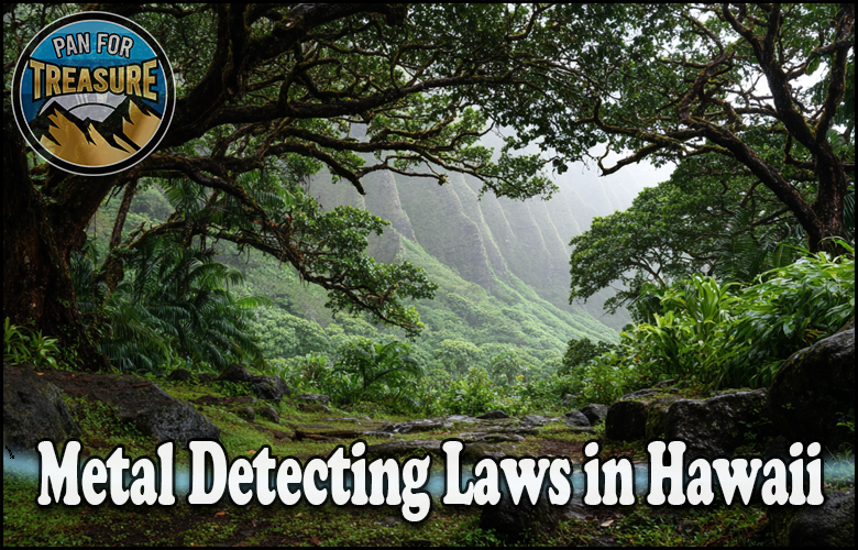 Read more about the article Metal Detecting Laws in Hawaii – Public Land, Parks, and Beach Rules