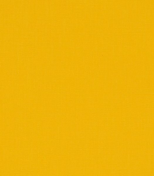 ROL-A404 Ρολοκουρτίνα Μονόχρωμη Blind Μουσταρδί