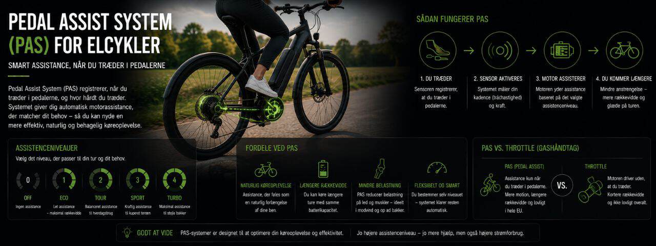 Pedal Assist System (PAS)