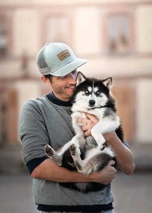 CHIEF-DES-GALOPINS-by-Camille-Chevalier-8381-Modifier-1-scaled-rm30xitf7xod15ar1p4kupuznmk0glyd4l4ui8l5qw Nos Pomsky Adultes