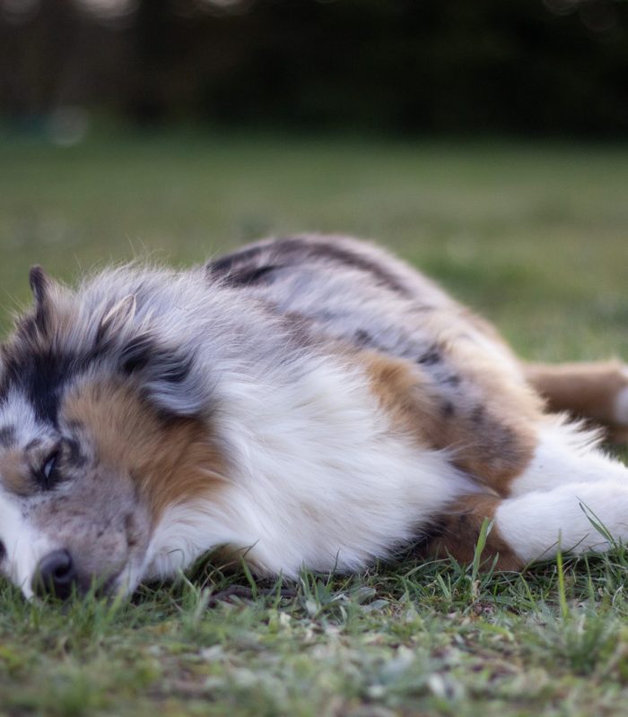 IMG_1176-rm30xithnn8nsk9xjg6gjrppcgj2i8emaotcs30mrk Nos Reines et Rois