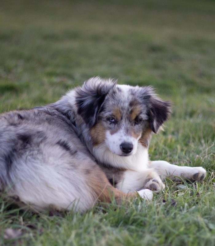 IMG_1185-rm30xithnn8nsk9xjg6gjrppcgj2i8emaotcs30mrk Nos Reines et Rois