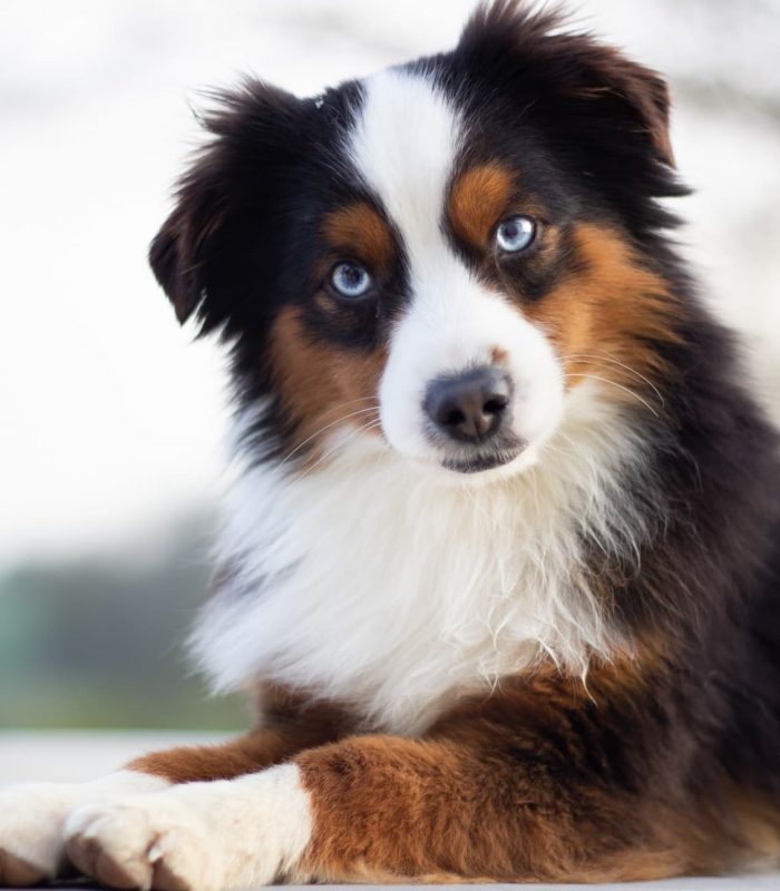 IMG_1657-1-rm30xithnn8nsk9xjg6gjrppcgj2i8emaotcs30mrk Nos Reines et Rois