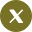 X (formally twitter)
