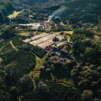 Brasilien Kaffeefarm Ocafi Fazenda Santa Alina