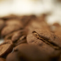 Frisch geroestete Kaffeebohnen von Coffeeness
