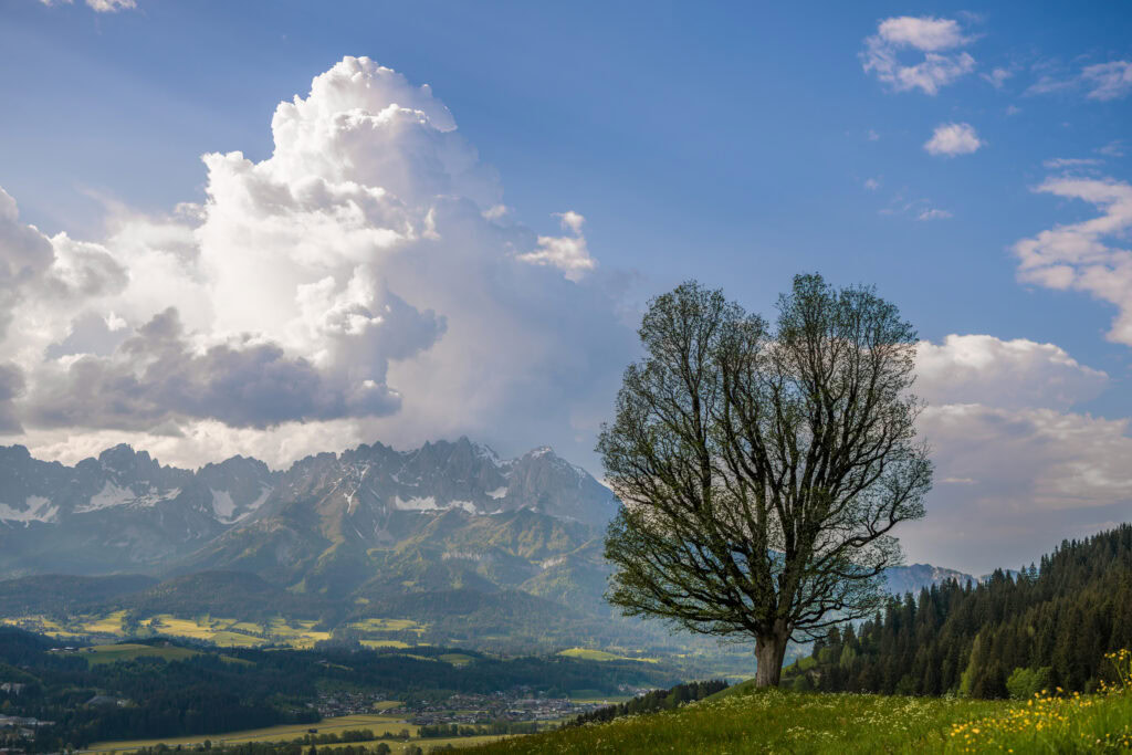 Tamron 35-150mm F/2-2.8 Di III VXD (Model A058) Nikon Z