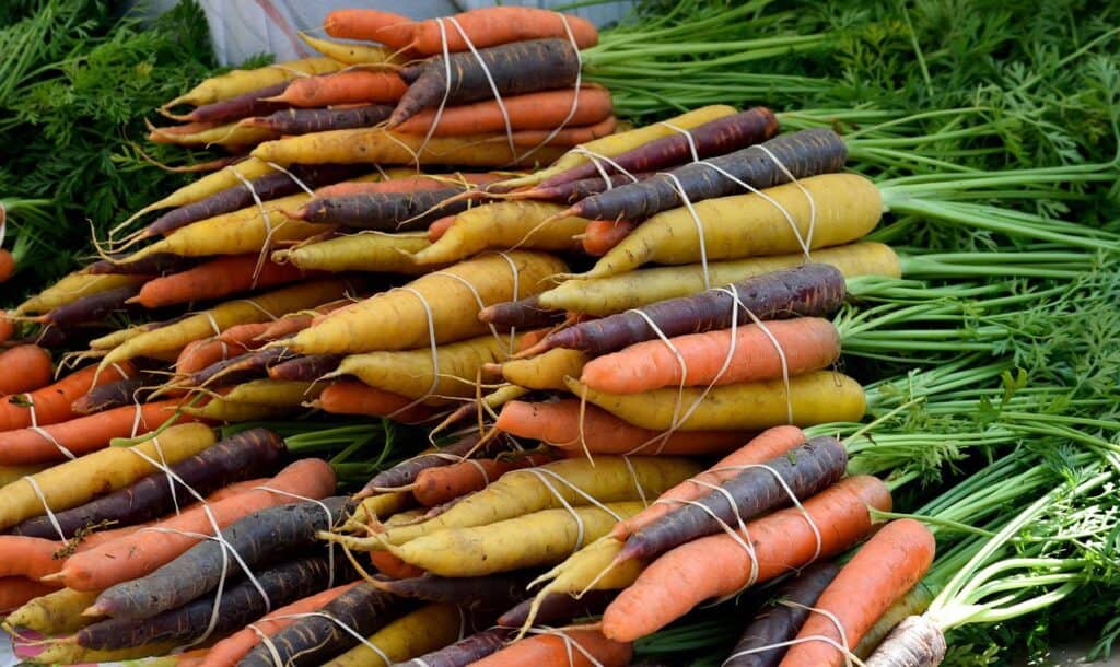 different colored carrots stacked on top of each other