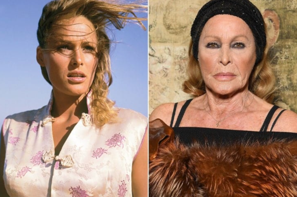Ursula Andress Net Worth