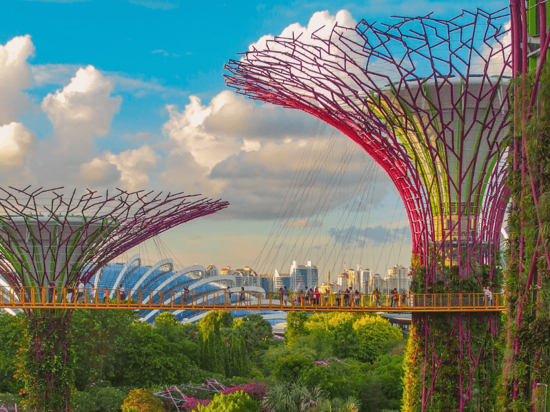 pink and green bridges in park outside singapore