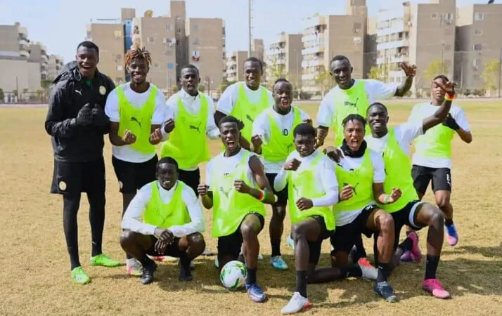 Mondial U20 : Les Lionceaux défient ce samedi les États-Unis - wiwsport