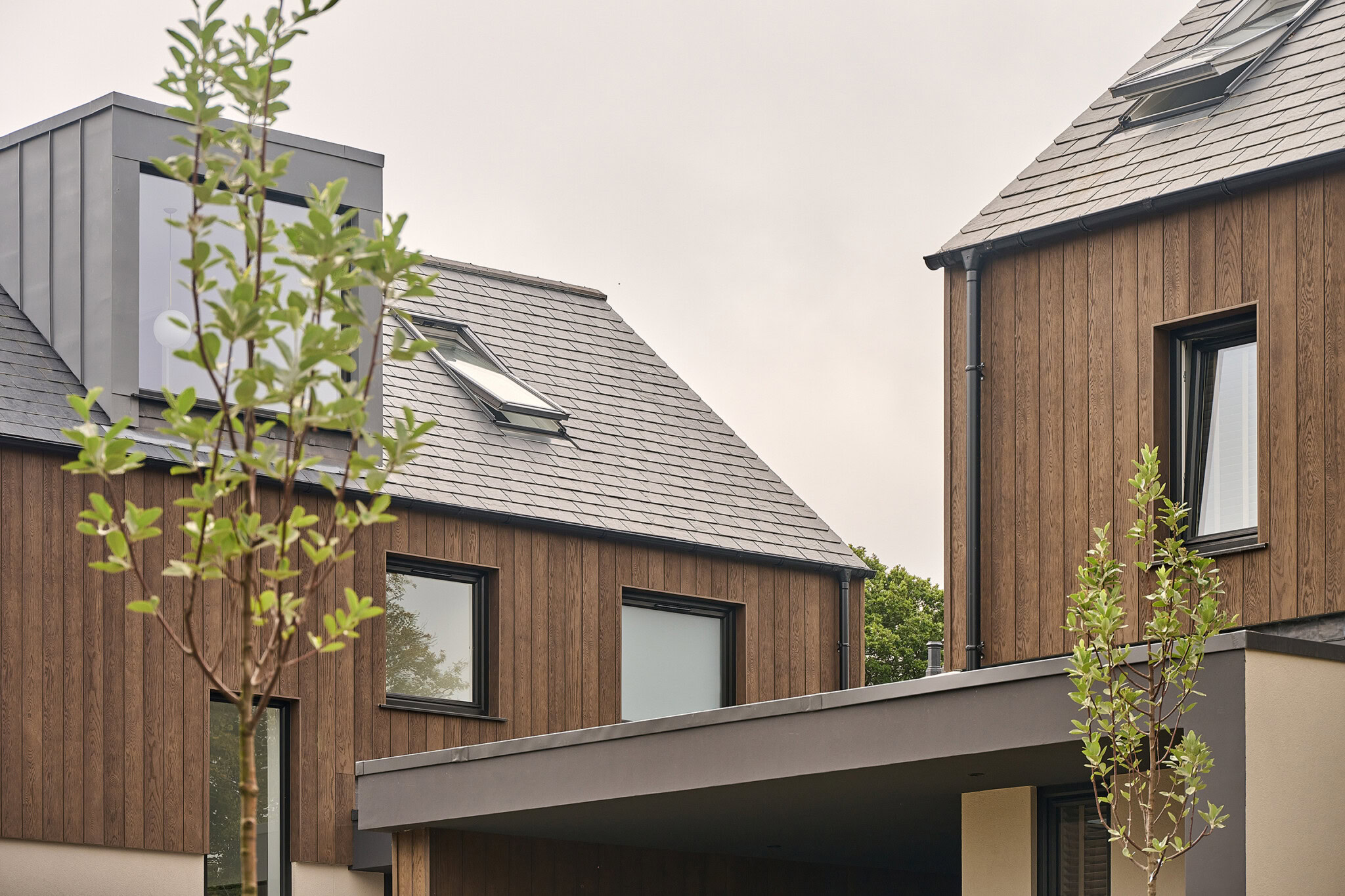 Shadow Line+ Antique Oak - EN-US - Residential