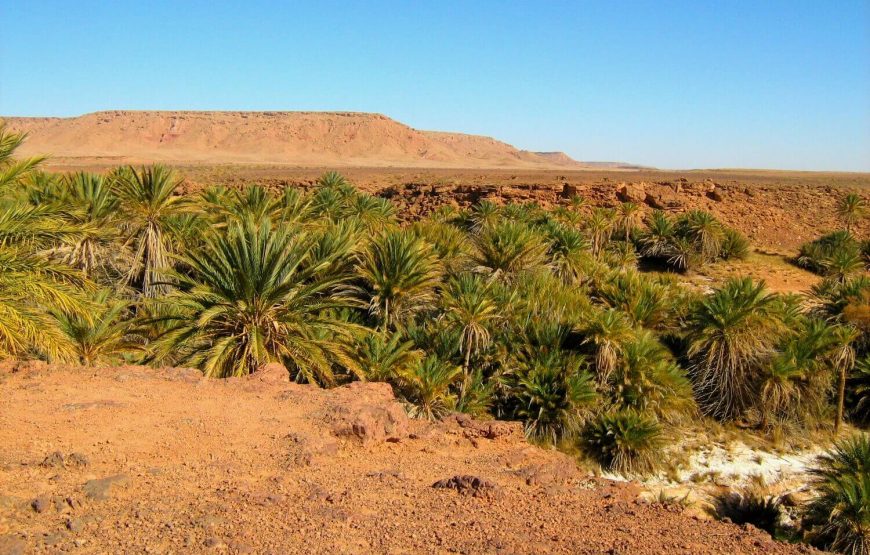 Merzouga 4WD Desert Safari