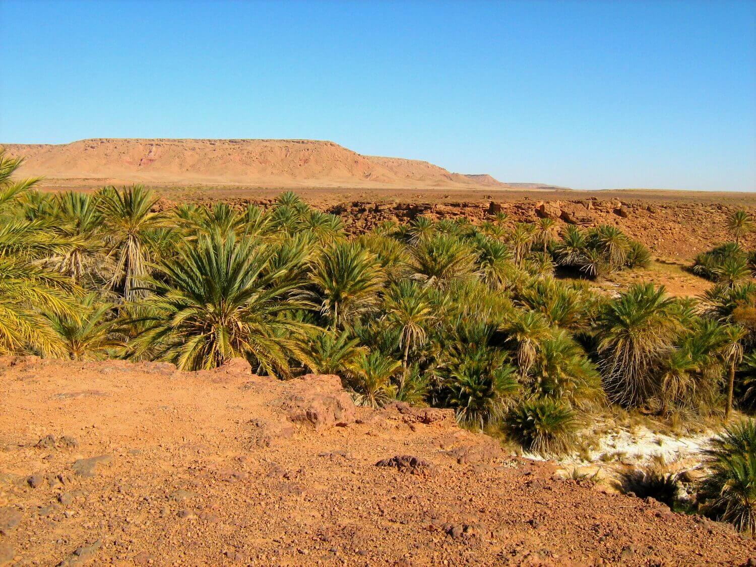 6-Day Tour From Marrakech to The South