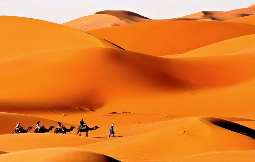 Camel Trekking in Merzouga