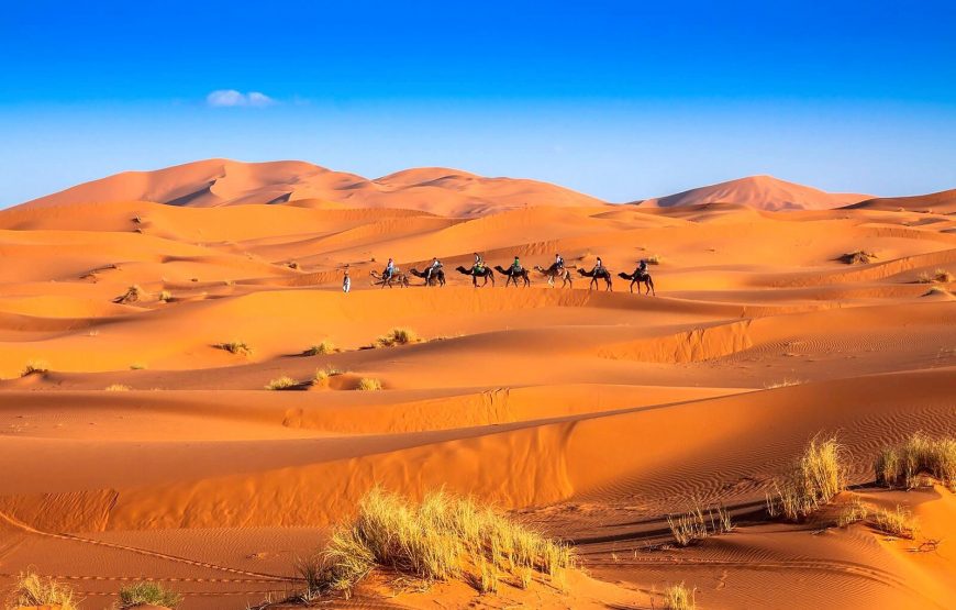 Merzouga ATV Quad Excursion