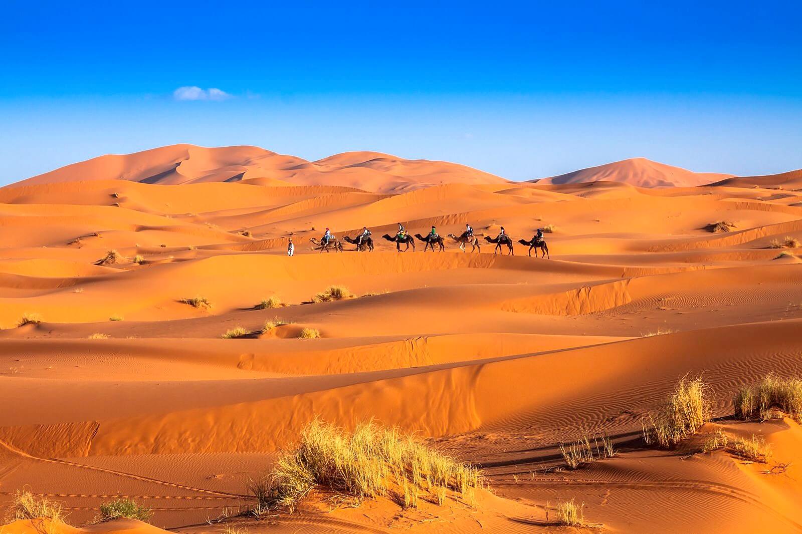 5-Day Sahara Camel Trek