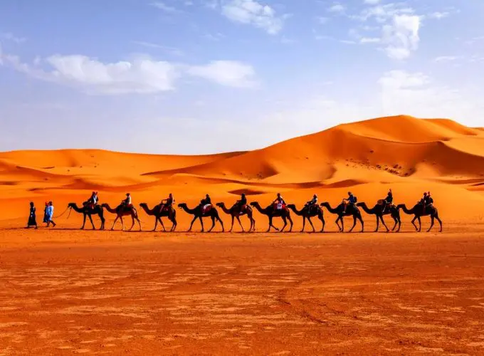 Camel trekking in Merzouga