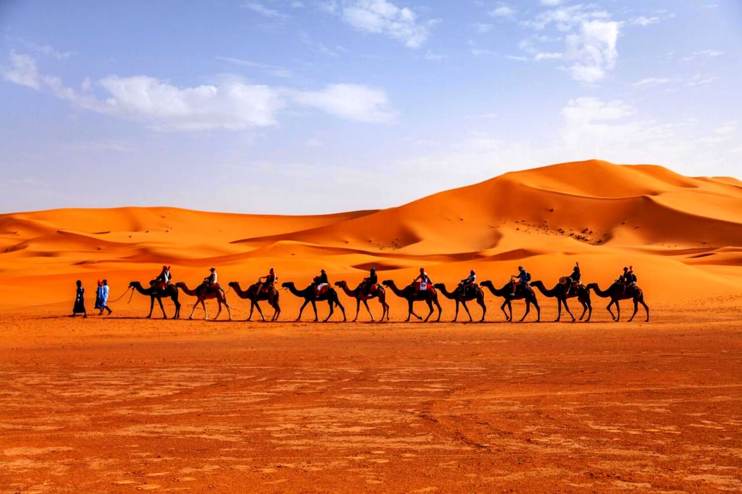 Camel Trekking in Merzouga