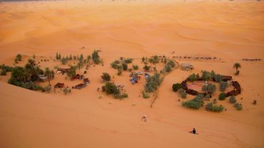 Merzouga Oasis