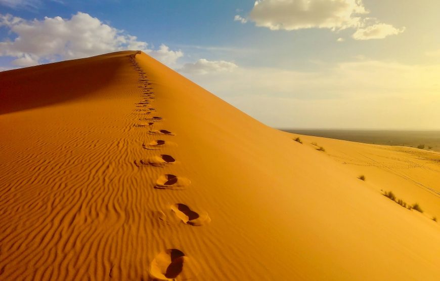 Merzouga Dune Buggy Tour