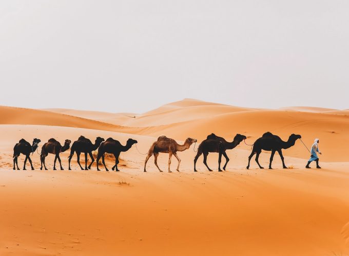 Fes to Merzouga 3-day desert tour