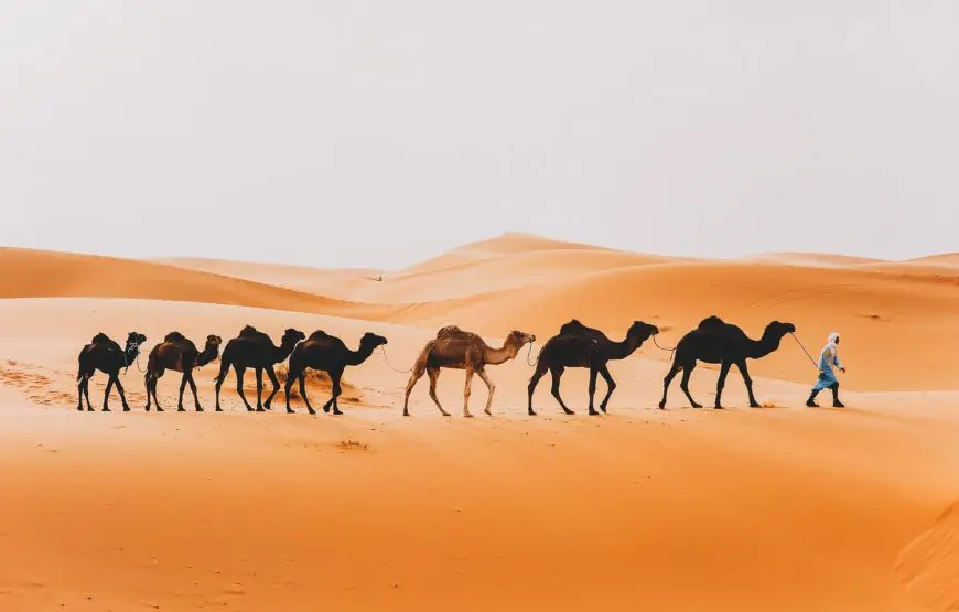 3-Day Fes Desert Tour To Merzouga