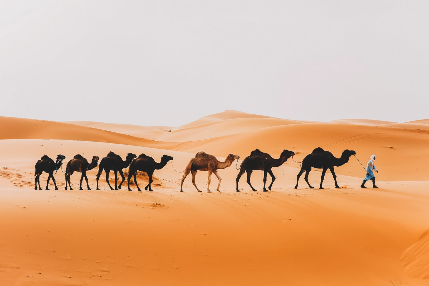 3-Day Fes Desert Tour To Merzouga