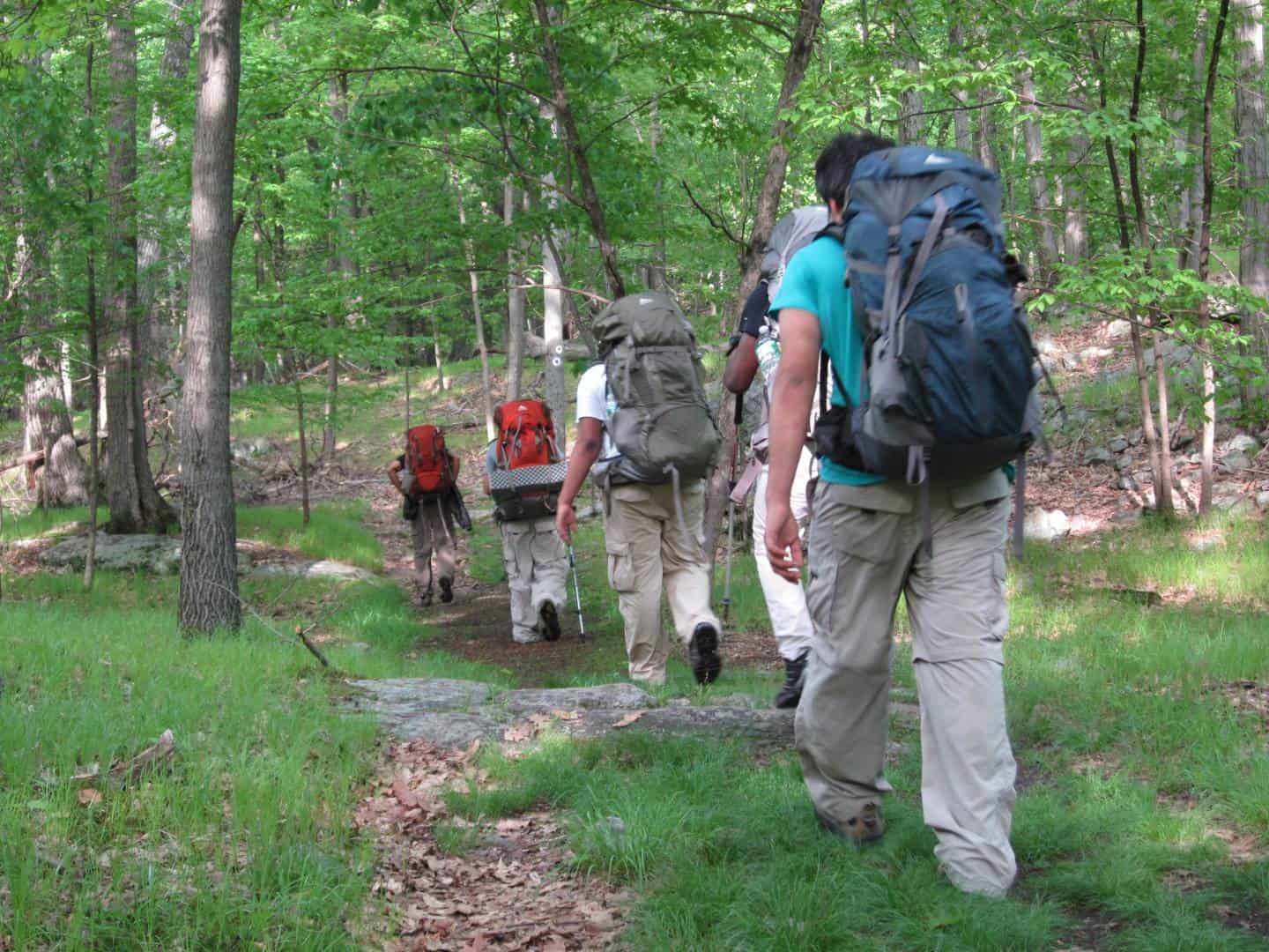 Discovery Outside the Classroom: A Biology Teacher’s Reflections