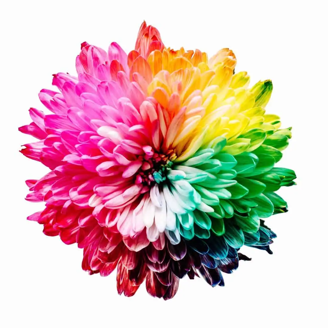 Creating a Culture of Innovation in Schools
