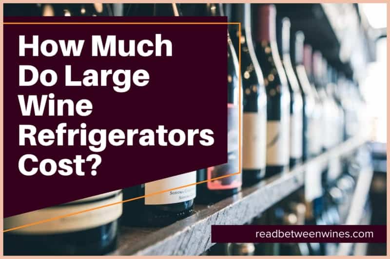 How Much Do Large Wine Fridges Cost?